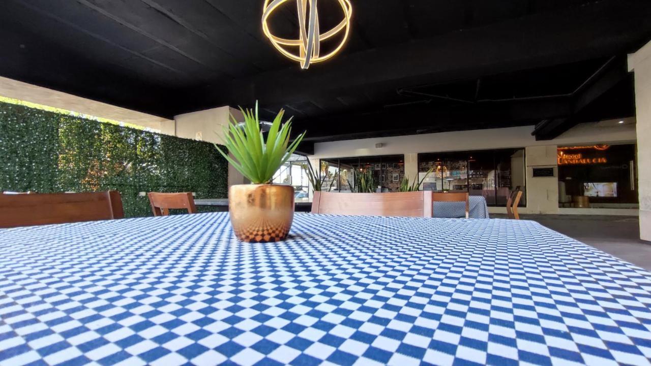 Hotel Andalucia Torreón Zewnętrze zdjęcie